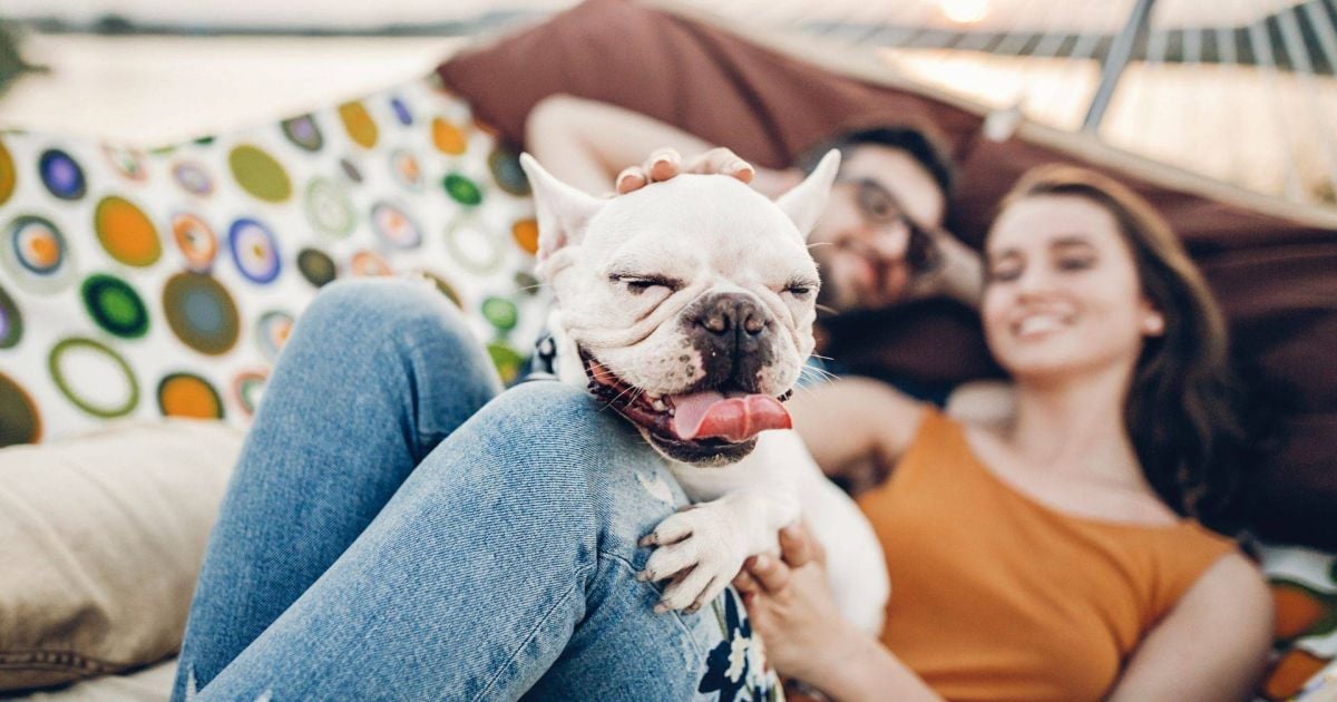 Maximizing Your Home’s Comfort: A Complete HVAC Service Guide